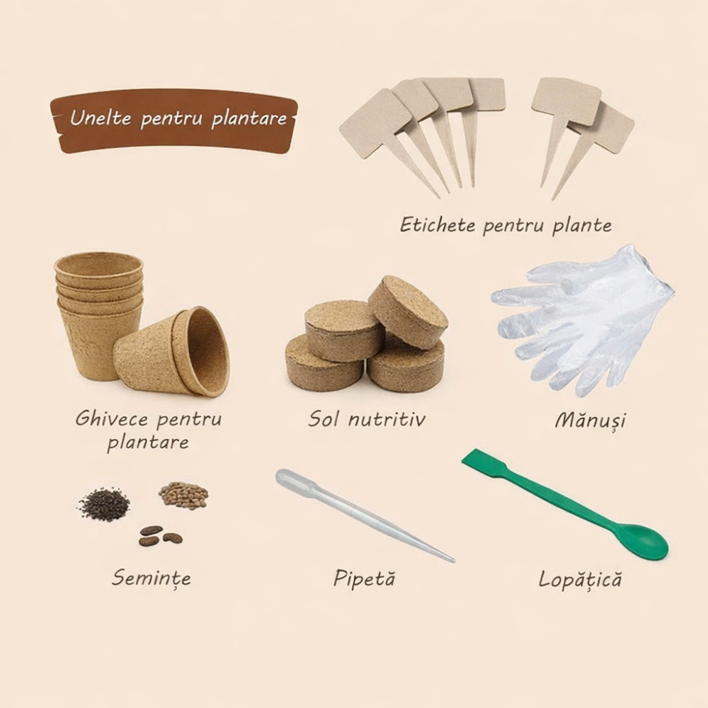 Set de grădinar Experimente Botanice cu seră, semințe și sol