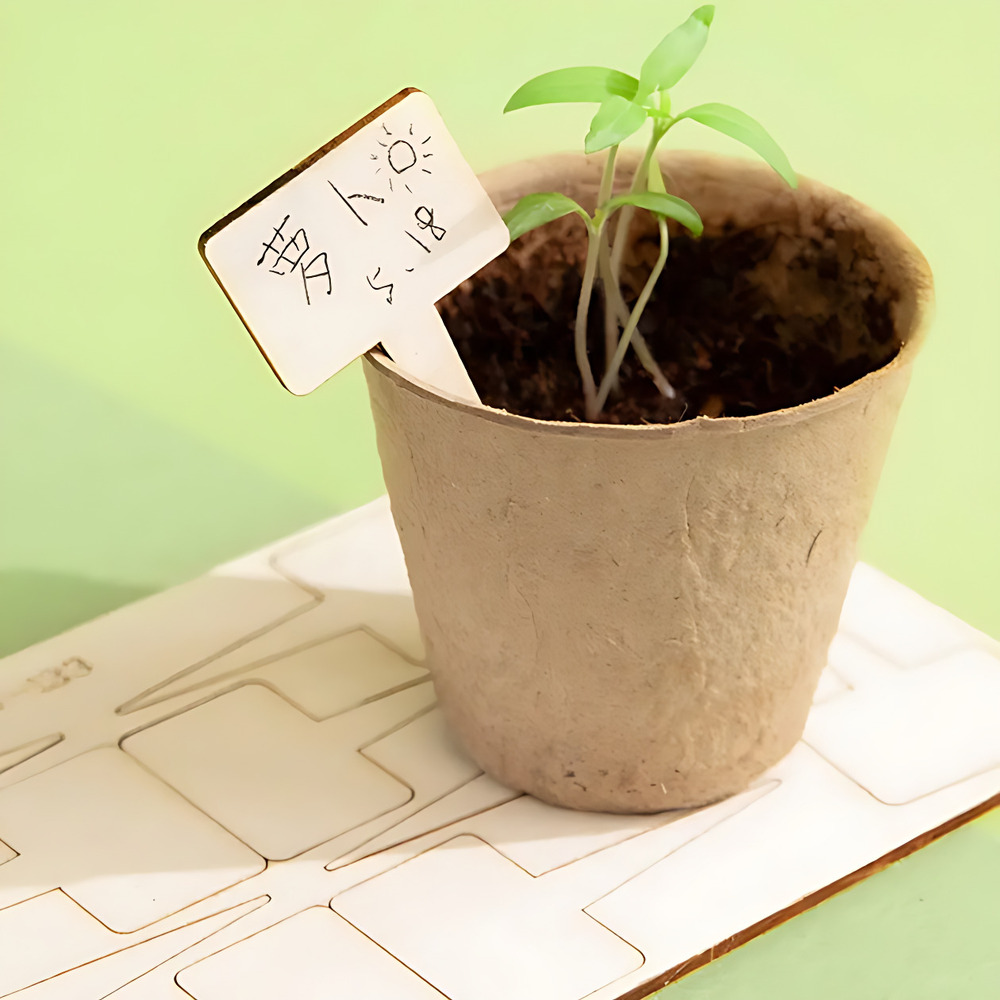 Набор юного садовода с семенами и домашней мини-теплицей