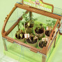 Набор юного садовода с семенами и домашней мини-теплицей