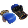 Боксерские перчатки JAB 10 унций для детей, разнообразные цвета