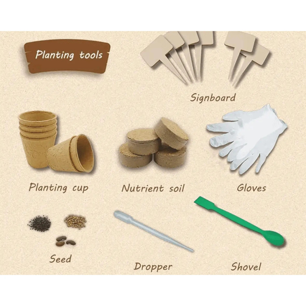 Набор садовода Ботанические эксперименты с теплицей, семенами и грунтом